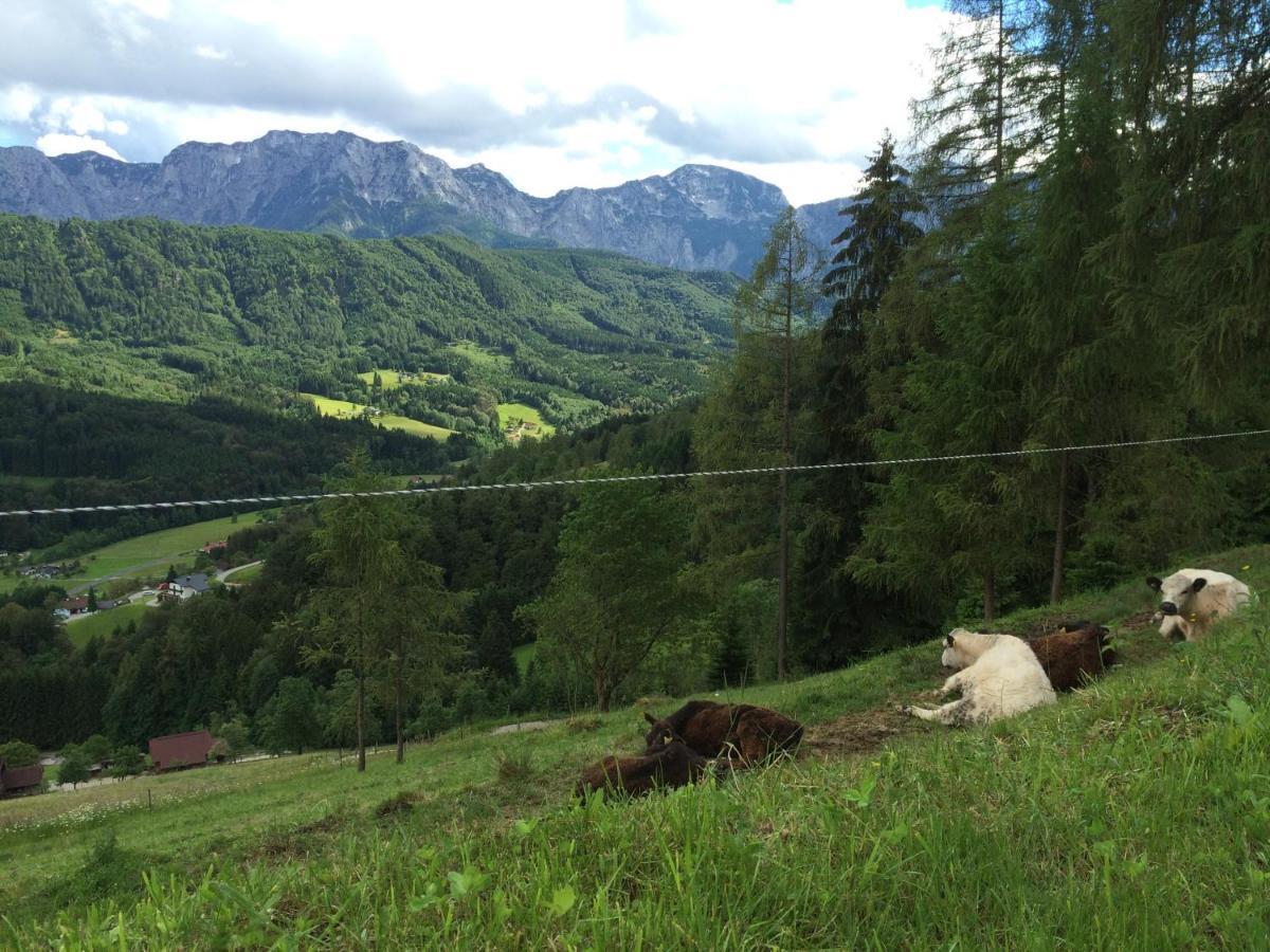 Kreitalm - Kraftplatz Im Salzkammergut Neukirchen  المظهر الخارجي الصورة